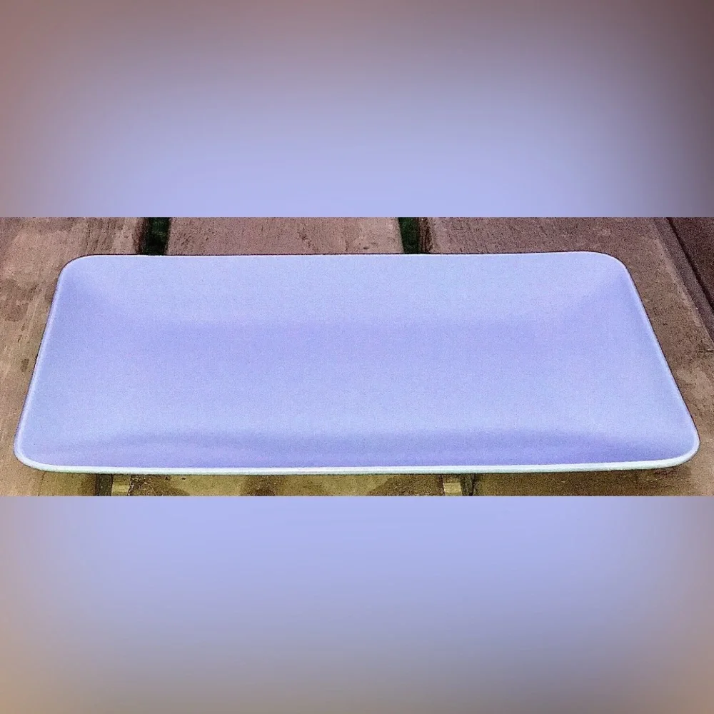 Discontinued Dinera Gray Fargrik IKEA of SWEDEN Rectangular Dinner Plate